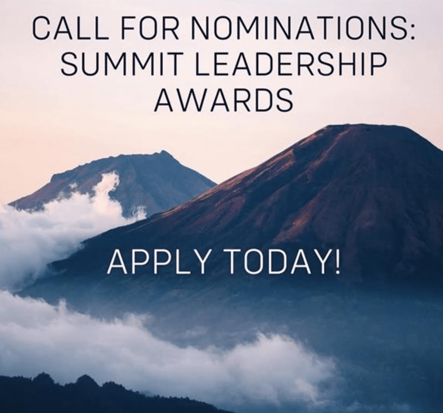 Summit Leadership Awards